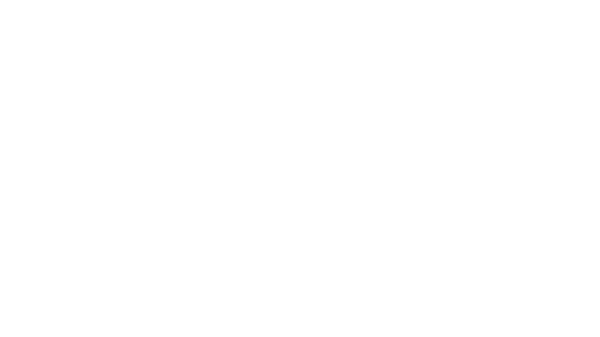 Velatea Logo