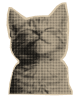 icono gato (Pequeño)